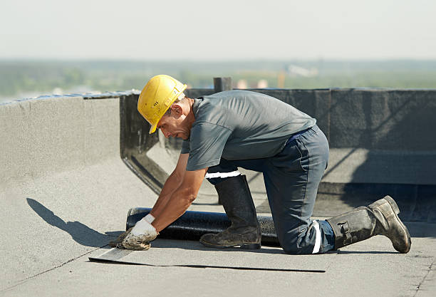 Best Insulation Maintenance and Repair in Pea Ridge, FL
